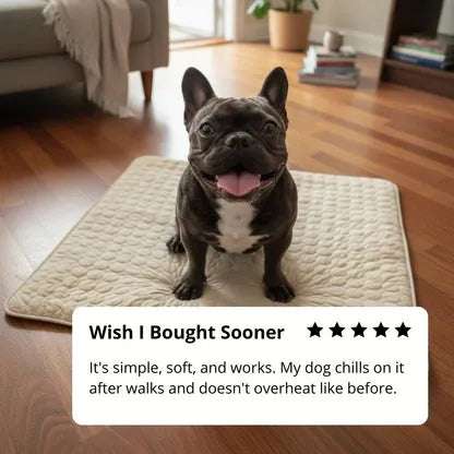 Self-Cooling Gel Pet Mat