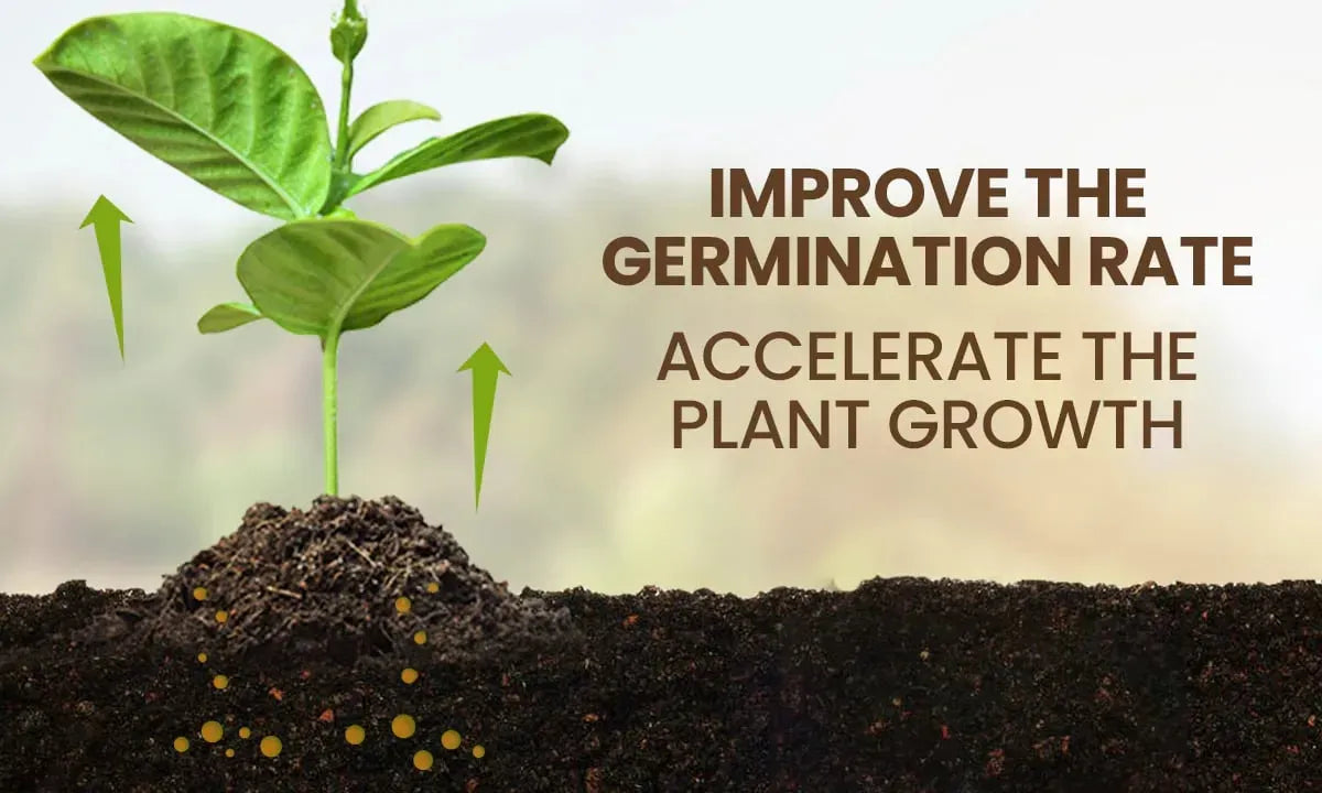 Soil Activator™ Rapid Growth Booster( BUY 1 GET 1 FREE )