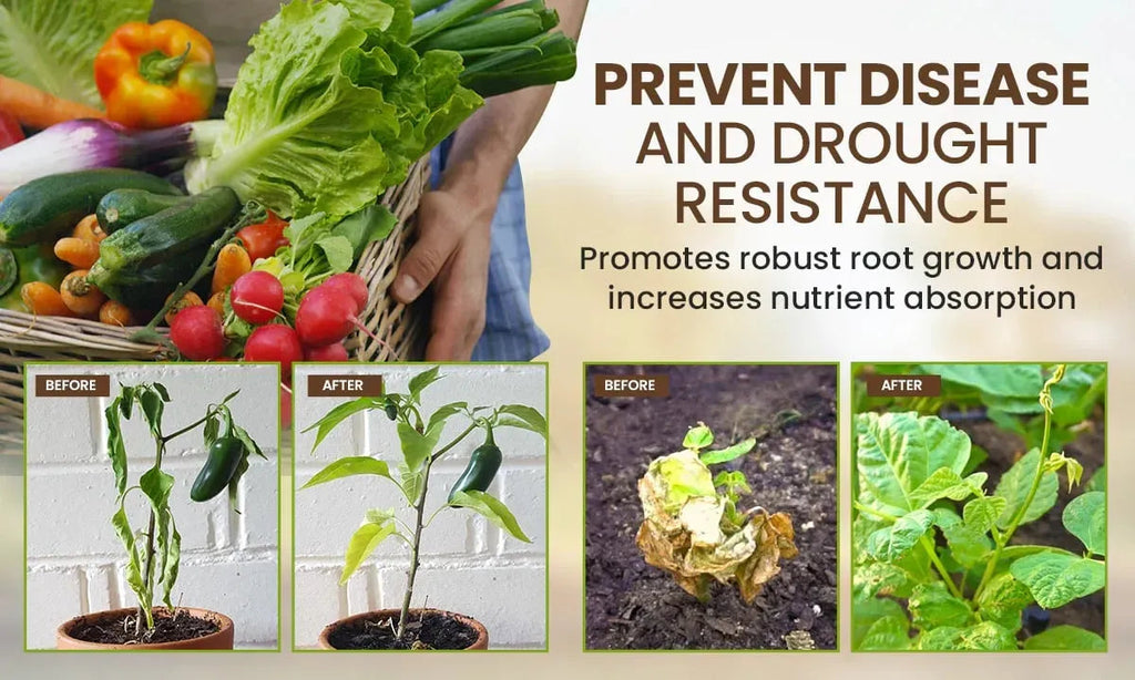 Soil Activator™ Rapid Growth Booster( BUY 1 GET 1 FREE )